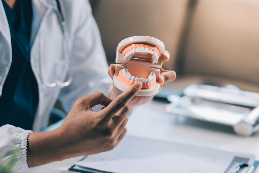 A dentist is using specialized dental equipment to inspect dentures to study the anatomy of the teeth before using the knowledge to treat patients, Dentures are being studied by oral specialists.