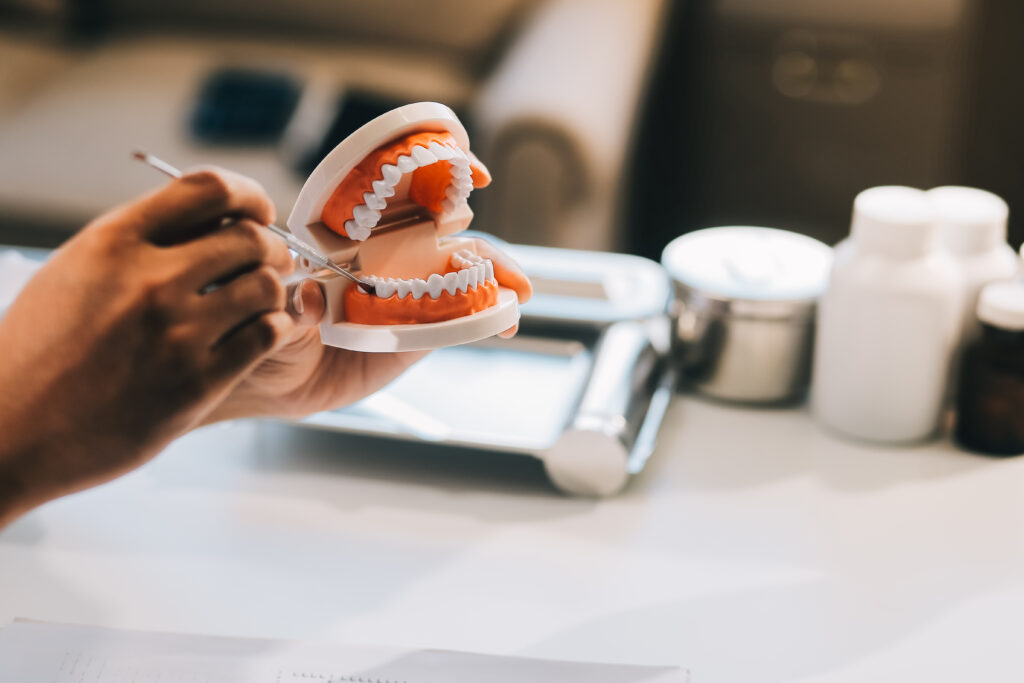 A dentist is using specialized dental equipment to inspect dentures to study the anatomy of the teeth before using the knowledge to treat patients, Dentures are being studied by oral specialists.